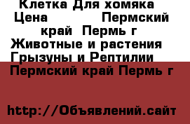 Клетка Для хомяка › Цена ­ 1 000 - Пермский край, Пермь г. Животные и растения » Грызуны и Рептилии   . Пермский край,Пермь г.